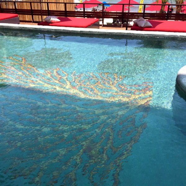 GUERRERO NEGRO_Hotel Grand Hyatt (4)(S)